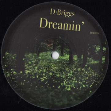 D.Briggs - Dreamin' (12")