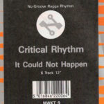 Critical Rhythm - It Could Not Happen (12") - Image 2
