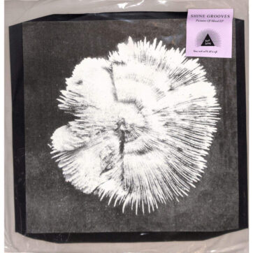 Shine Grooves - Pictures Of Mood (12", EP, Ltd, w/R)