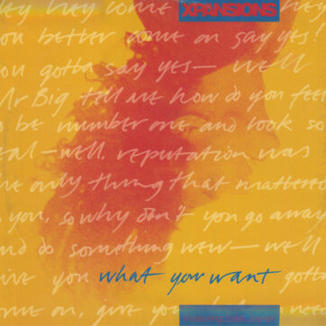 Xpansions - What You Want (12", Single)