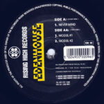 Edenhouse - Never Mind / Modul #1 & #2 (12")