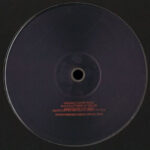 Do The Du - Sauro's Senses (12") - Image 2