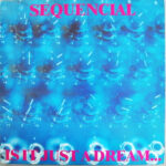 Sequencial - Is It Just A Dream... ...Or Is It Real! (12")