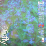 Ultraviolet - Kites (12", Single) - Image 2