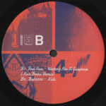 Various - Muestra Especial (12", EP, Smplr) - Image 3