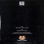 Soft House Company - What You Need... (12") - Image 2