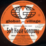 Soft House Company - What You Need... (12") - Image 3