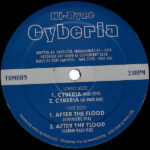 Hi-Ryze - Cyberia / After The Flood  (12", RE)