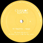 SJ Tequilla - Sanya (12", EP)