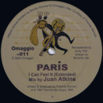 Paris (38) - I Can Feel It (12", RE) - Image 2