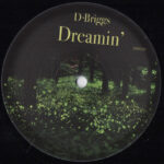D.Briggs - Dreamin' (12")