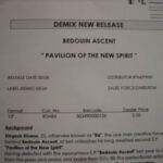 Bedouin Ascent - Pavillion Of The New Spirit (12", Promo, W/Lbl) - Image 2