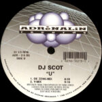 DJ Scot Project - U (12") - Image 2