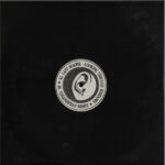 Last Magpie - Looking Through Windows / Youandewan Remix (12")