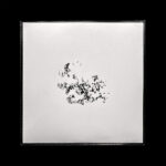 Șerb - Transient Recs 2 (12", EP, han)