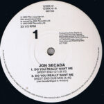 Jon Secada - Do You Really Want Me (Todd Terry & West End Mixes) (12", Single)