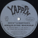 Neewt & Babydawg - Skyline Tears (12", EP)