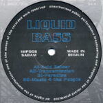 Liquid Bass - Acid Raiser (12")