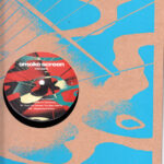 Froses - What's Your Colour? (12") - Image 3
