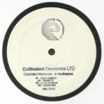 DJ Controlled Weirdness - In The Shadows (12")