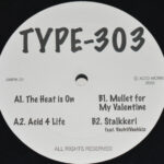 Type-303 - Acid Works (12", EP)