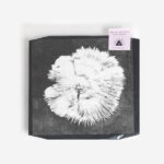 Shine Grooves - Pictures Of Mood (12", EP, Ltd, w/R) - Image 5