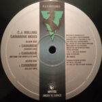 CJ Bolland - Camargue (The Remixes) (12") - Image 3