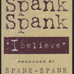 DJ Pierre Presents Spank Spank - I Believe (12") - Image 3