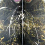 The Future Sound Of London - Dead Cities (2xLP, Album) - Image 3