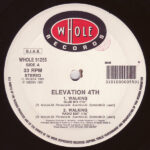 Elevation 4th - Walking (12") - Image 2