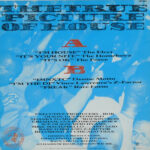 Rob Olson - Rob Olson's Chicago Jack Beat (LP, Comp) - Image 2