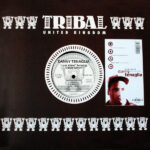 Danny Tenaglia Featuring Carole Sylvan - Look Ahead (12")