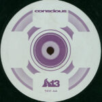 Conscious - Mount Sinai / Northern Lights (12") - Image 2