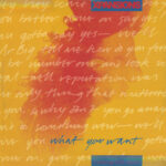 Xpansions - What You Want (12", Single)