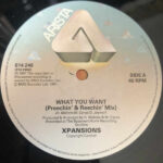 Xpansions - What You Want (12", Single) - Image 3
