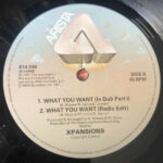 Xpansions - What You Want (12", Single) - Image 4