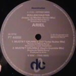 Ariel - Rollercoaster / Mustn't Grumble (12") - Image 2