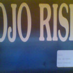 The Network - Mojo Rising (12", Promo, W/Lbl)