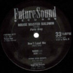 Terry Baldwin Featuring Paris Grey - Don't Lead Me (12") - Image 2
