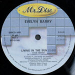 Evelyn Barry - Living In The Sun (12") - Image 3