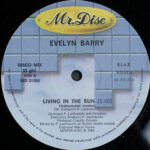 Evelyn Barry - Living In The Sun (12") - Image 4