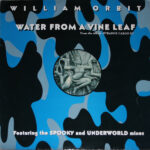 William Orbit - Water From A Vine Leaf (12")