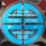 William Orbit - Water From A Vine Leaf (12") - Image 2