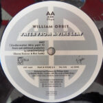 William Orbit - Water From A Vine Leaf (12") - Image 3