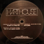 Cybordelics - Adventures Of Dama Remixes (12") - Image 2