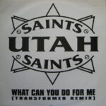 Utah Saints - What Can You Do For Me (Transformer Remix) (12")