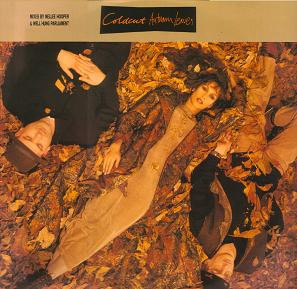 Coldcut - Autumn Leaves (12")