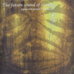 The Future Sound Of London - Papua New Guinea Translations (2xLP, Album)