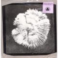 Shine Grooves - Pictures Of Mood (12", EP, Ltd, w/R)