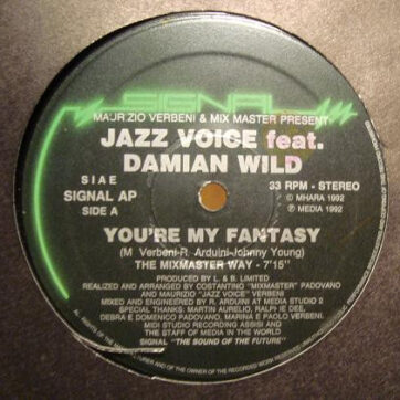 Jazz Voice - You're My Fantasy / Like You (2x12")